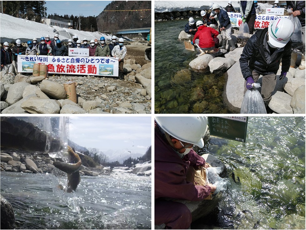イワナ ヤマメ成魚放流をしました 株式会社森下組 新潟県南魚沼郡湯沢町の建設業